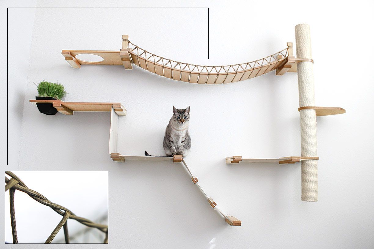 The Expedition - Cat Jungle Gym Wall System by Catastrophic Creations